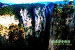 【純玩拼團(tuán)線路6】張家界、黃龍洞、天門山、天子山三晚四日游