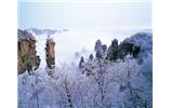 春節(jié)旅游：張家界、袁家界、天子山、寶峰湖/黃龍洞度假二晚三日游